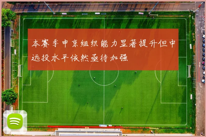 本赛季申京组织能力显著提升但中远投水平依然亟待加强