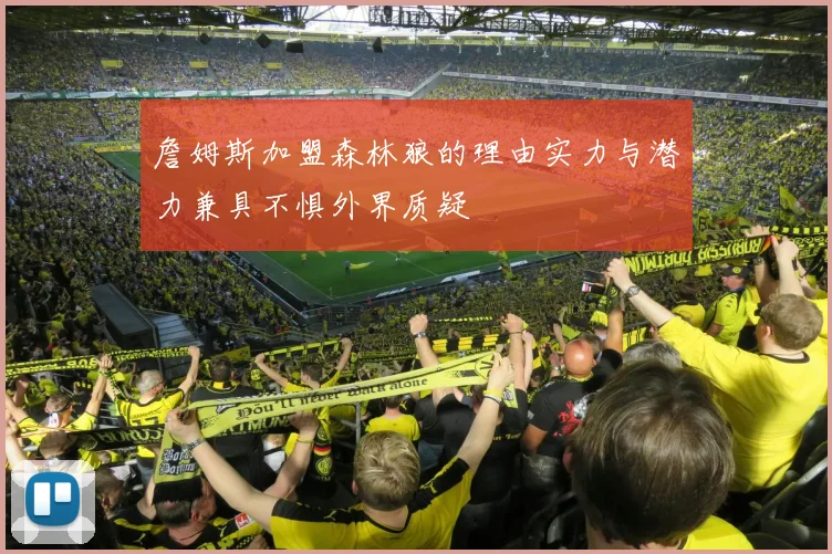詹姆斯加盟森林狼的理由实力与潜力兼具不惧外界质疑